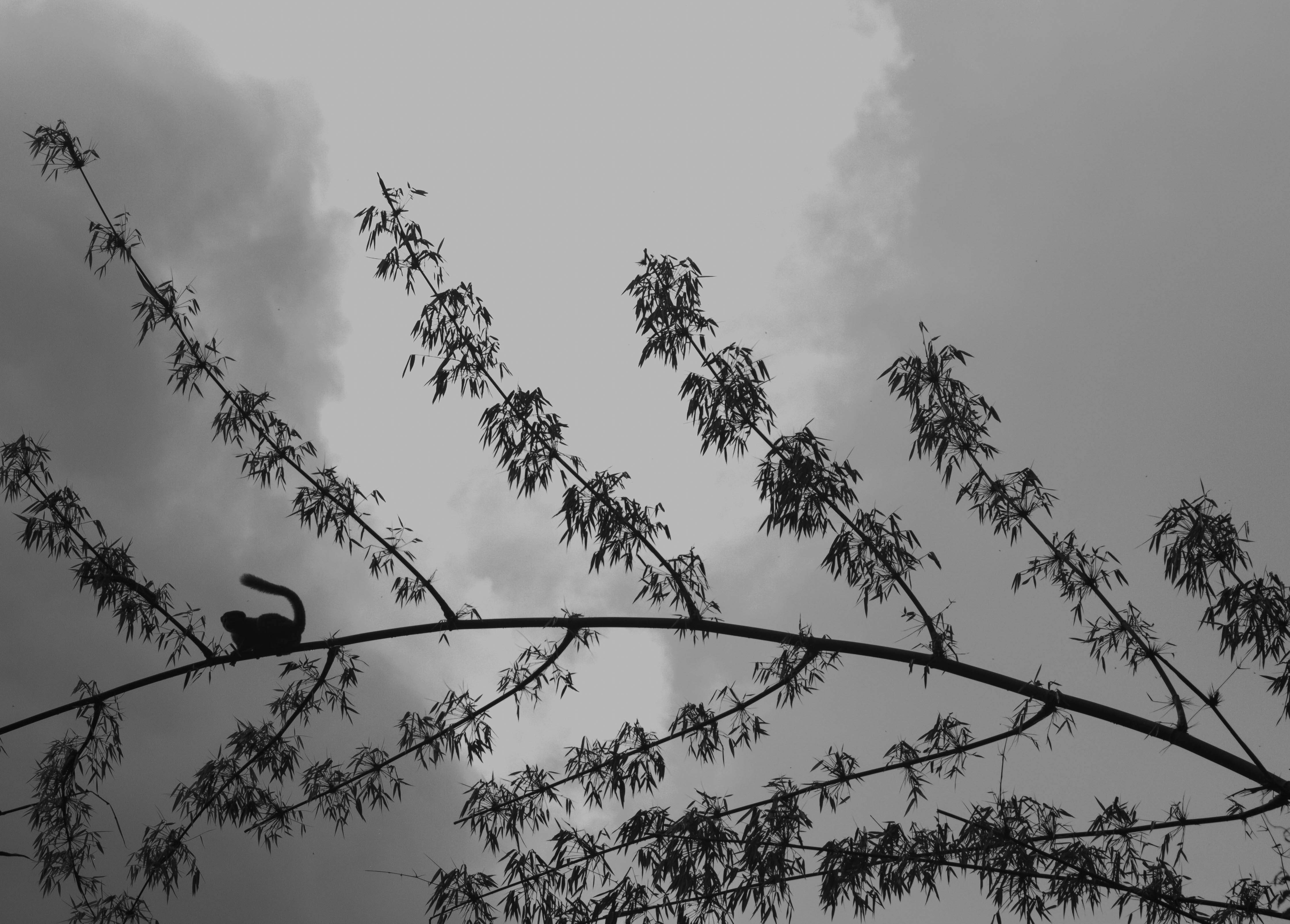 Sensibilisation & contenus naturalistes — photo 6